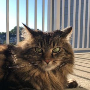 Meet your Posher, John